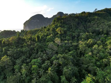 Trang Adaları 'nın yoğun yapraklarından oluşan güzel bir manzara.