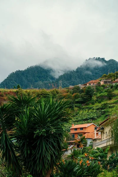 Вертикальный Снимок Старого Города Зеленом Склоне Холма Бухте Острова Мадейра — стоковое фото