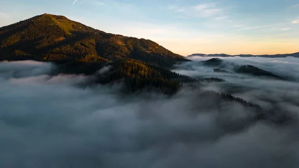 松の木と山のある森の昼間の景色を背景にオーストリアのマリアゼルで霧の日 — ストック写真