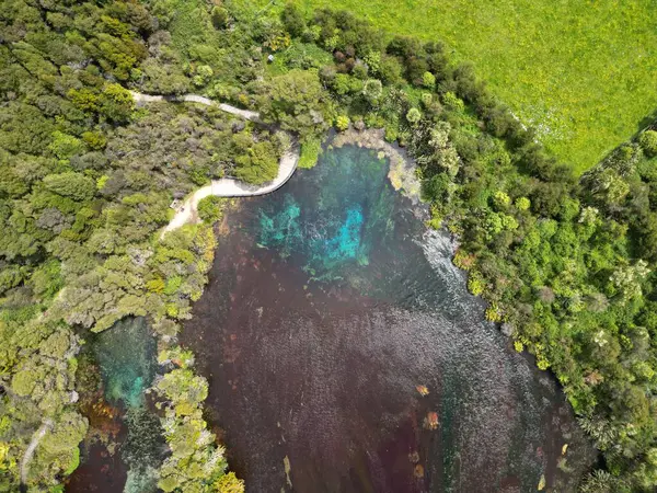 湖と緑の木々の空中トップビュー — ストック写真