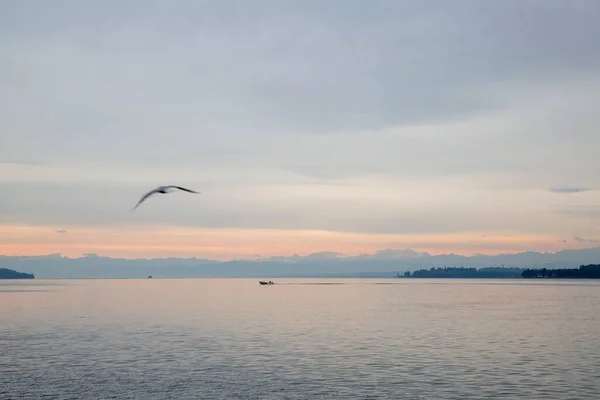 夕阳西下的大海 鸟儿飞驰而过 背景是群山 — 图库照片