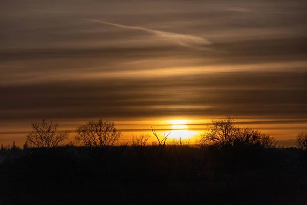 背景に水平線のある木々のシルエットに輝く明るい黄金の夕日 — ストック写真