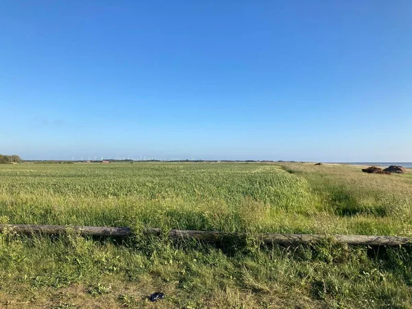 晴れた日の広い草原の美しい景色 — ストック写真