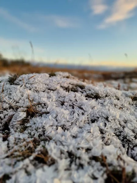 Вибірковий Фокус Снігу Покриває Землю Під Час Зимового Сезону — стокове фото