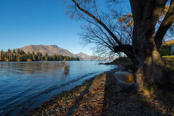 Güneşli Bir Günde Ağaçlarla Çevrili Sakin Bir Göl Manzarası — Stok fotoğraf