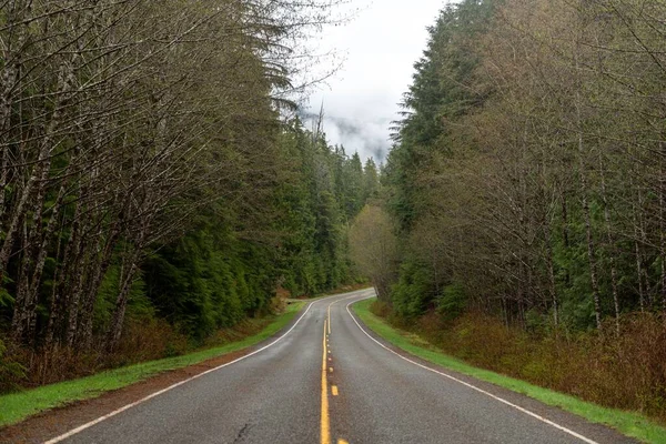Washington Abd Deki Olimpiyat Ulusal Parkı Nda Boş Bir Yol — Stok fotoğraf