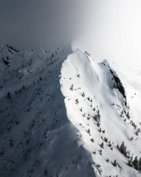 雪に覆われた木々に覆われた山頂の空中写真 — ストック写真