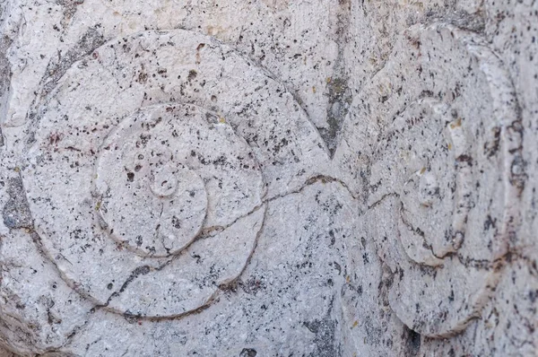 조각된 달팽이 모양의 스페인 발렌시아 Provinze Denia — 스톡 사진