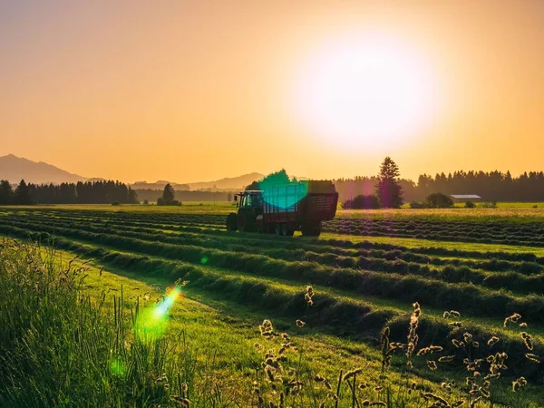 Пейзаж Трактора Травяном Лугу Закатом Солнца — стоковое фото