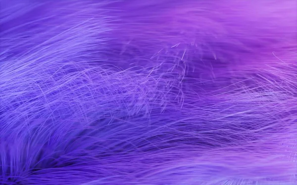A purple background with lines