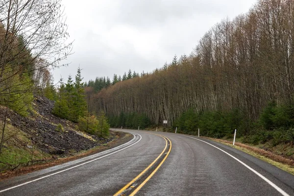 Ένα Κοντινό Πλάνο Ενός Αυτοκινητόδρομου Που Περιβάλλεται Από Πολύχρωμα Δέντρα — Φωτογραφία Αρχείου