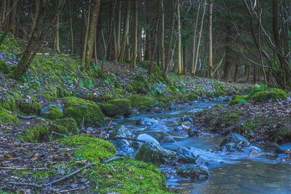 Stretta Cascata Fluviale Che Scorre Nella Foresta Tra Gli Alberi — Foto Stock