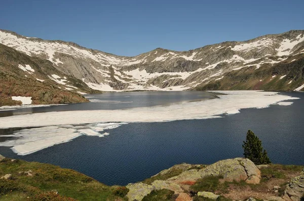 雪に覆われた山や草に囲まれた大きな水のボディ — ストック写真
