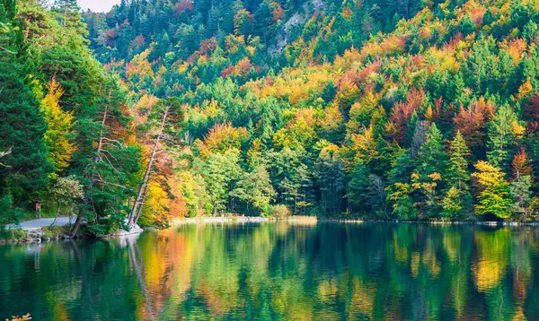 清澈平静的湖面 水面上倒映着树木 — 图库照片