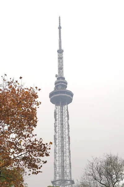 Una Toma Vertical Una Torre Televisión Contra Cielo Nublado Otoño — Foto de Stock