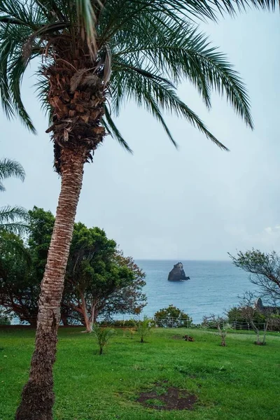 Eine Vertikale Aufnahme Einer Tropisch Grünen Küste Mit Palmen Der — Stockfoto