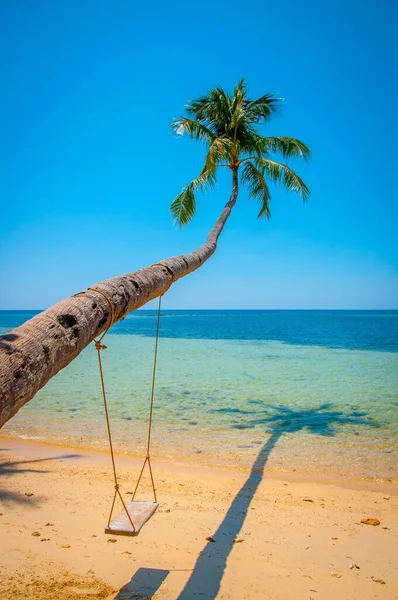 Kumlu Bir Sahilde Palmiye Ağacında Salıncak — Stok fotoğraf