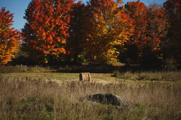 在加拿大安大略省的一个秋天的牧场上 一张漂亮的干草包照片 — 图库照片
