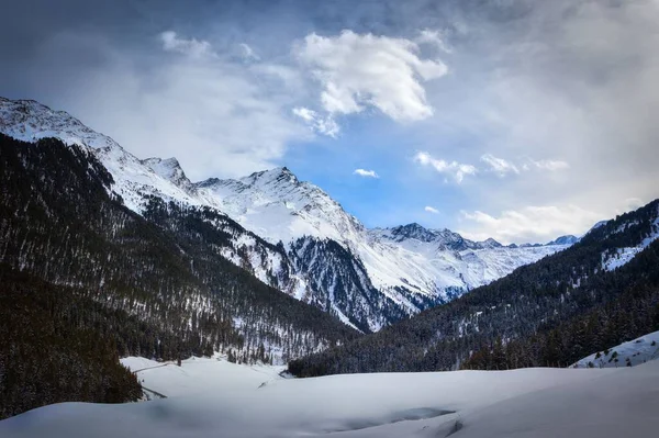 Widok Powietrza Pokryty Śniegiem Górski Krajobraz Gęstymi Drzewami — Zdjęcie stockowe