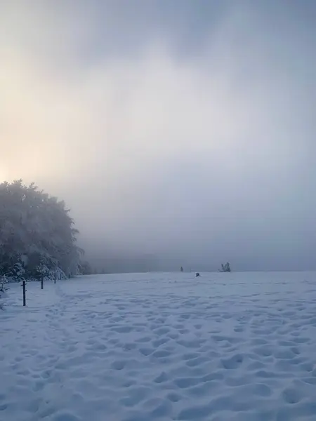 눈덮인 풍경의 — 스톡 사진