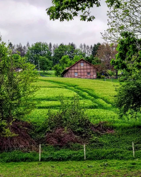 緑の植生に囲まれた畑や農村の家の垂直ショット — ストック写真