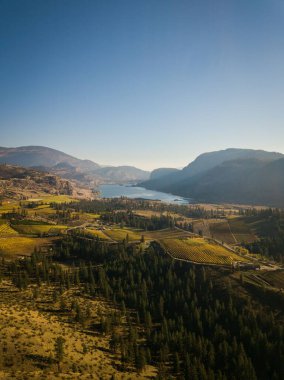 Günbatımında Okanagan Vadisi, British Columbia 'daki Vaseux Gölü ve üzüm bağlarının yüksek açılı bir görüntüsü..