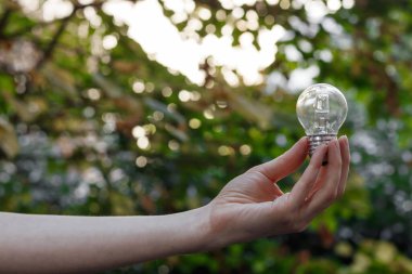 Bir kadının el ele tutuşması bir ampulü bokeh 'e karşı tutması, doğa arka planı - fikir üretme kavramı