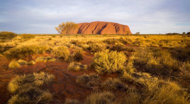 A landscape of a deserted valley on the background of the Uluru clipart