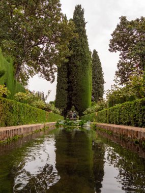 Seville, İspanya 'daki Sevilla Sarayı' nın Kraliyet Alcazar 'ının bahçesindeki bir gölün dikey görüntüsü..