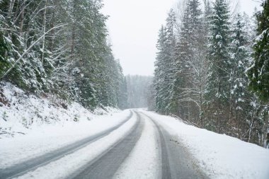 Karlı bir yolda, karlı köknar ağaçlarının arasında kasvetli bir günde, boş bir arka planda.