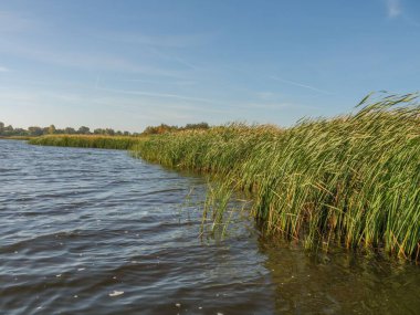 Güneşli bir günde yeşil çimlerle çevrili bir nehir.