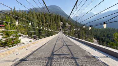 BC, Kanada 'daki dağların yakınındaki güzel bir ormanın alçak açılı görüntüsü.