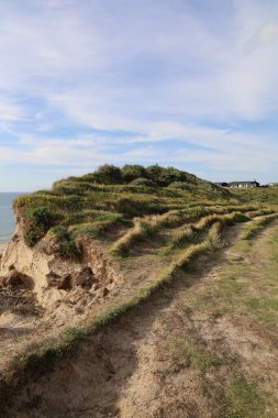 Danimarka 'nın Lonstrup sahilindeki bir uçurumun dikey görüntüsü.