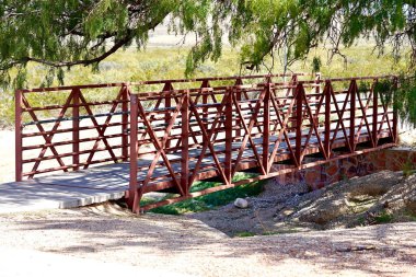 ağaçları ile çevrili bir köprü