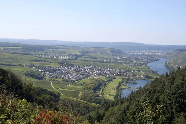 Aerial Shot River Old Buildings Tree Mosel Germany — Stock Photo, Image