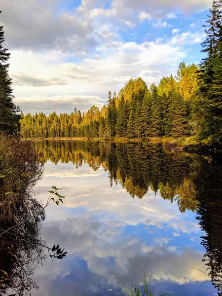 Stunning Reflection Early Autumn Trees Beaver Pond Algonquin National Park — Stock Photo, Image