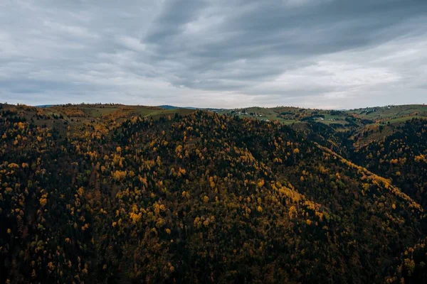Renkli Alp Ağaçlarıyla Kaplı Bir Dağ Sırasının Manzaralı Bir Görüntüsü — Stok fotoğraf