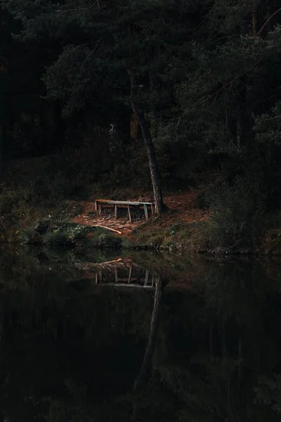 湖の端にある孤独なベンチの垂直ショットで 緑の木々が水に反映されています — ストック写真