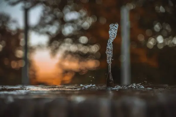 Ein Großer Wassertropfen Plätschert Auf Dem Teich — Stockfoto