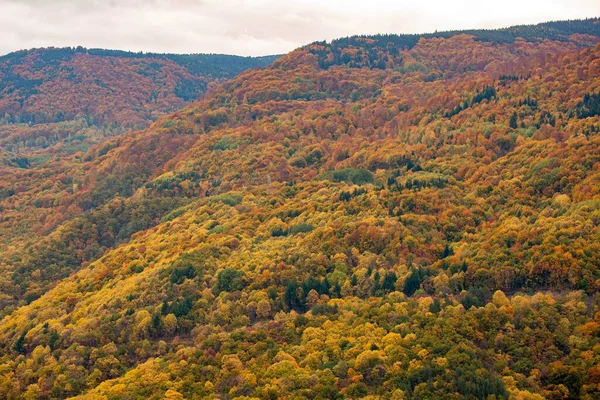 Ein Schöner Blick Auf Die Bunten Herbstbäume Einer Bergigen Landschaft — Stockfoto