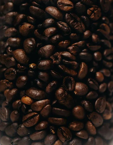 Студийный Снимок Кофейных Зерен — стоковое фото