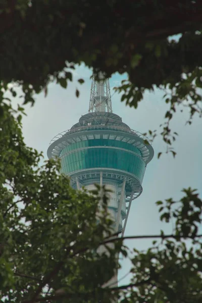Een Close Uitzicht Macau Toren Door Boomtakken — Stockfoto