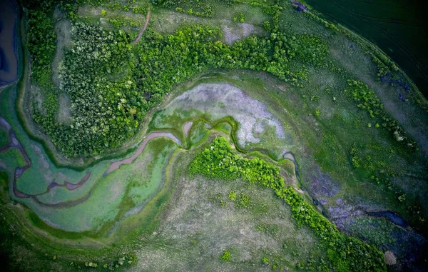 Drone Tiro Vegetação Verde Nas Margens Rio Seco Durante Dia — Fotografia de Stock