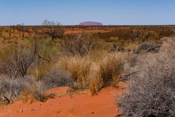 stock image A landscape of a deserted valley on the background of the Uluru