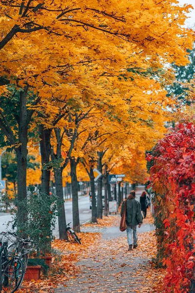 Eine Vertikale Aufnahme Des Schönen Herbstes Einem Park — Stockfoto