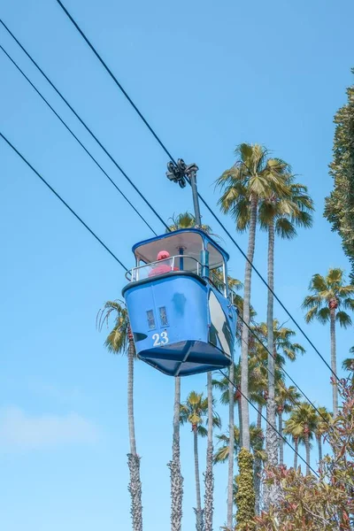 Vertical Closeup Blue Bayside Skyride Palm Trees San Diego — Stock Photo, Image