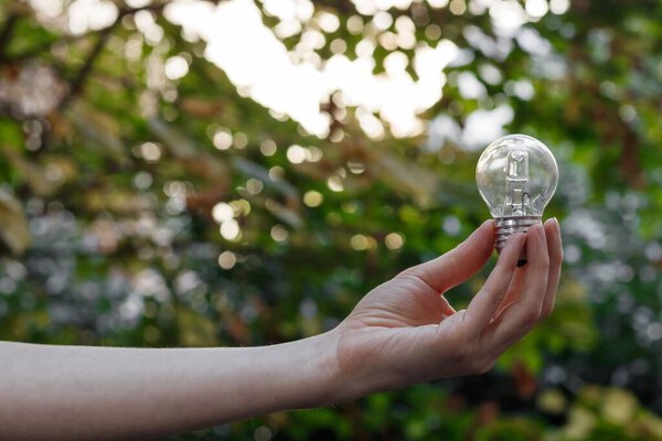A woman's hand holding a light bulb against a bokeh, nature background - concept of generating an idea