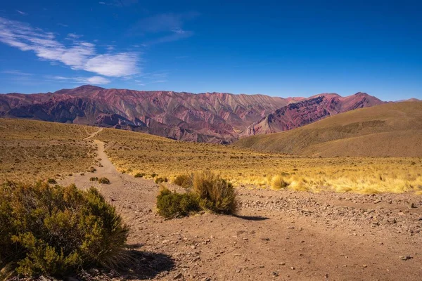 Droga Prowadząca Wzgórza Siedmiu Kolorów Miejscowości Purmamarca Quebrada Humahuaca Argentyna — Zdjęcie stockowe