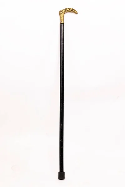 Ένα Κάθετο Πλάνο Ενός Μαύρου Μπαστούνι Που Περπατά Απομονωμένο Λευκό — Φωτογραφία Αρχείου