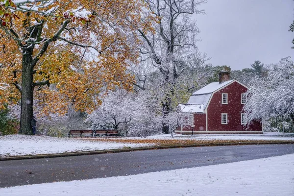 冬の間の雪に覆われたフィールド 木の冷たい景色 — ストック写真